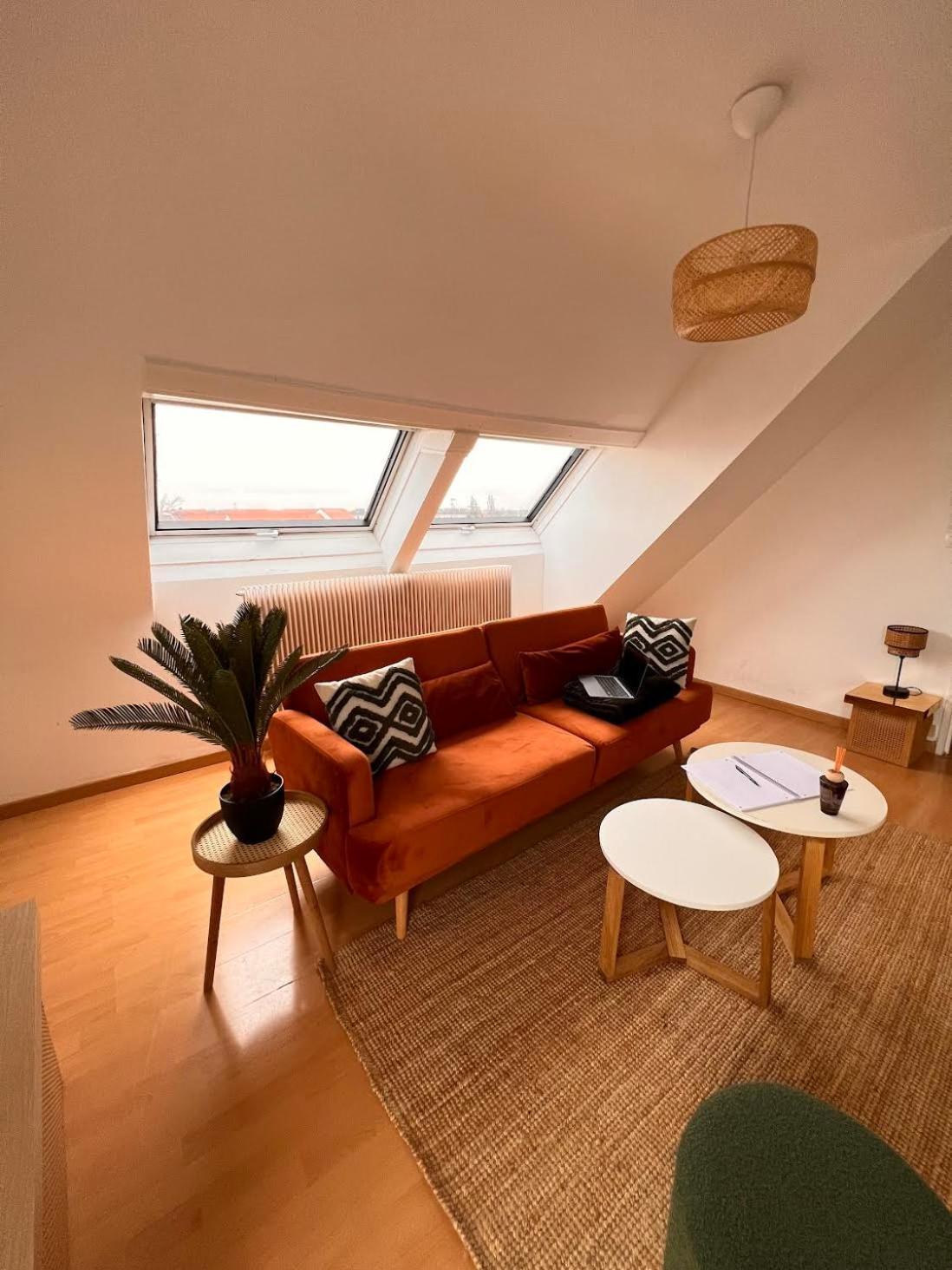 Balneo, Lumineux, Confort Colmar Exterior foto